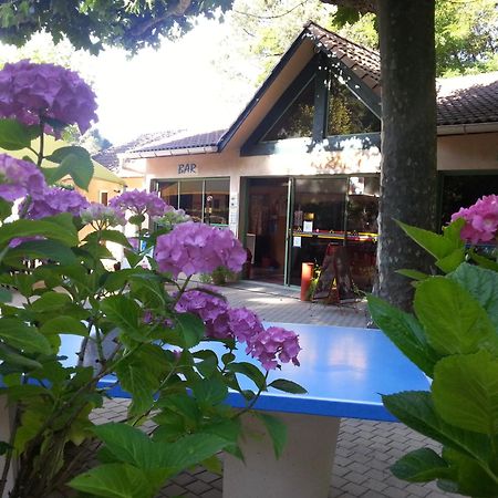 Camping Les Sources Saint-Jean-du-Gard Esterno foto