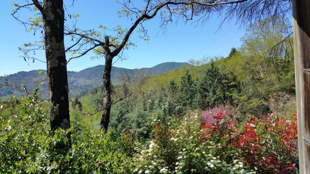 Camping Les Sources Saint-Jean-du-Gard Esterno foto