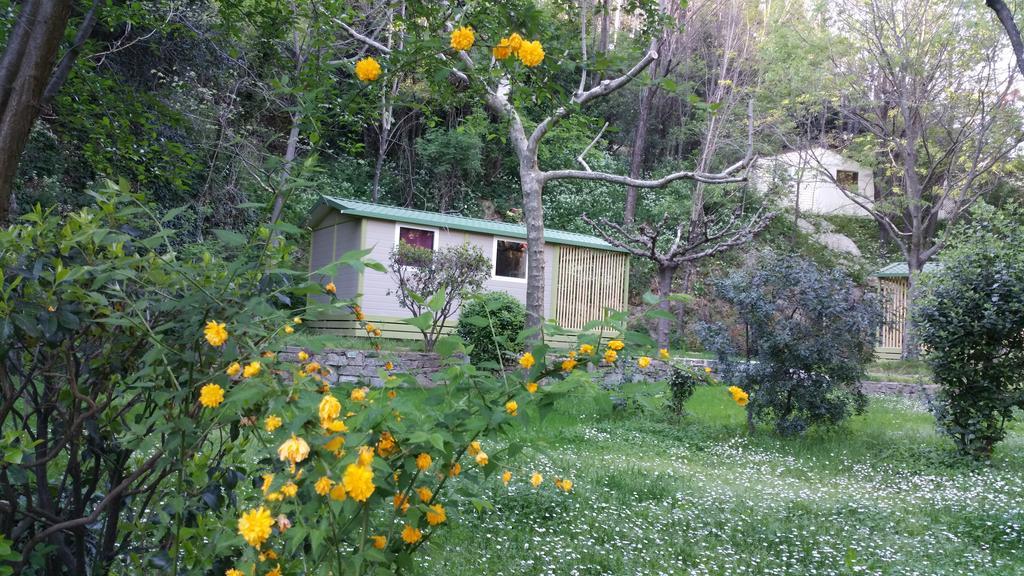 Camping Les Sources Saint-Jean-du-Gard Esterno foto